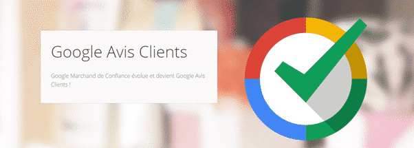 Google Avis Clients